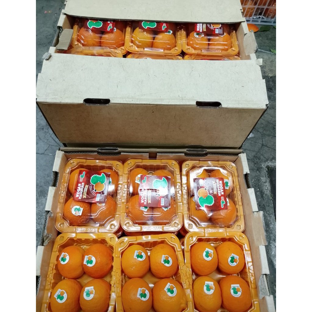 Jeruk Wogan Mandarin Tanpa Biji Manis Perpack