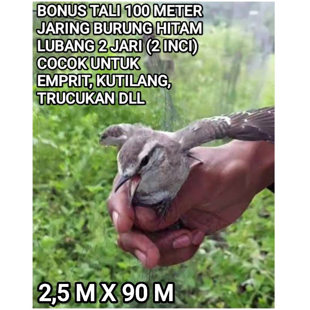 BONUS TALI 100 METER JARING BURUNG HITAM TINGGI 2,5 M PANJANG 90 M 50X100 LUBANG 2 JARI UNTUK BURUNG