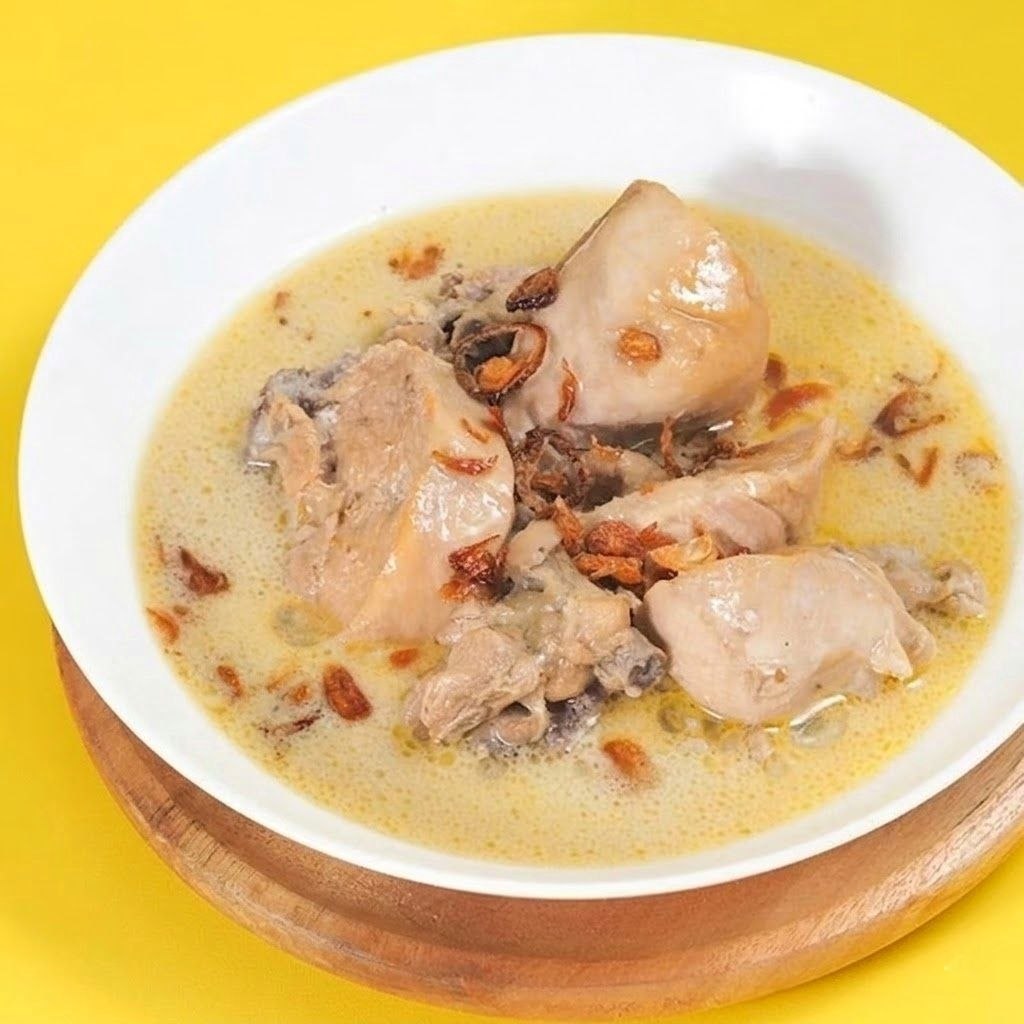 OPOR AYAM 1/2 EKOR (5 POTONG AYAM) SIAP MAKAN  - MAKANAN SIAP SAJI - DARMOJO
