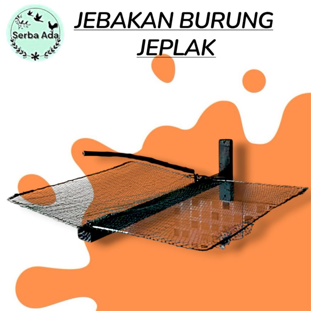 Jebakan burung jeplak kutilang,perkutut,tekukur, DLL