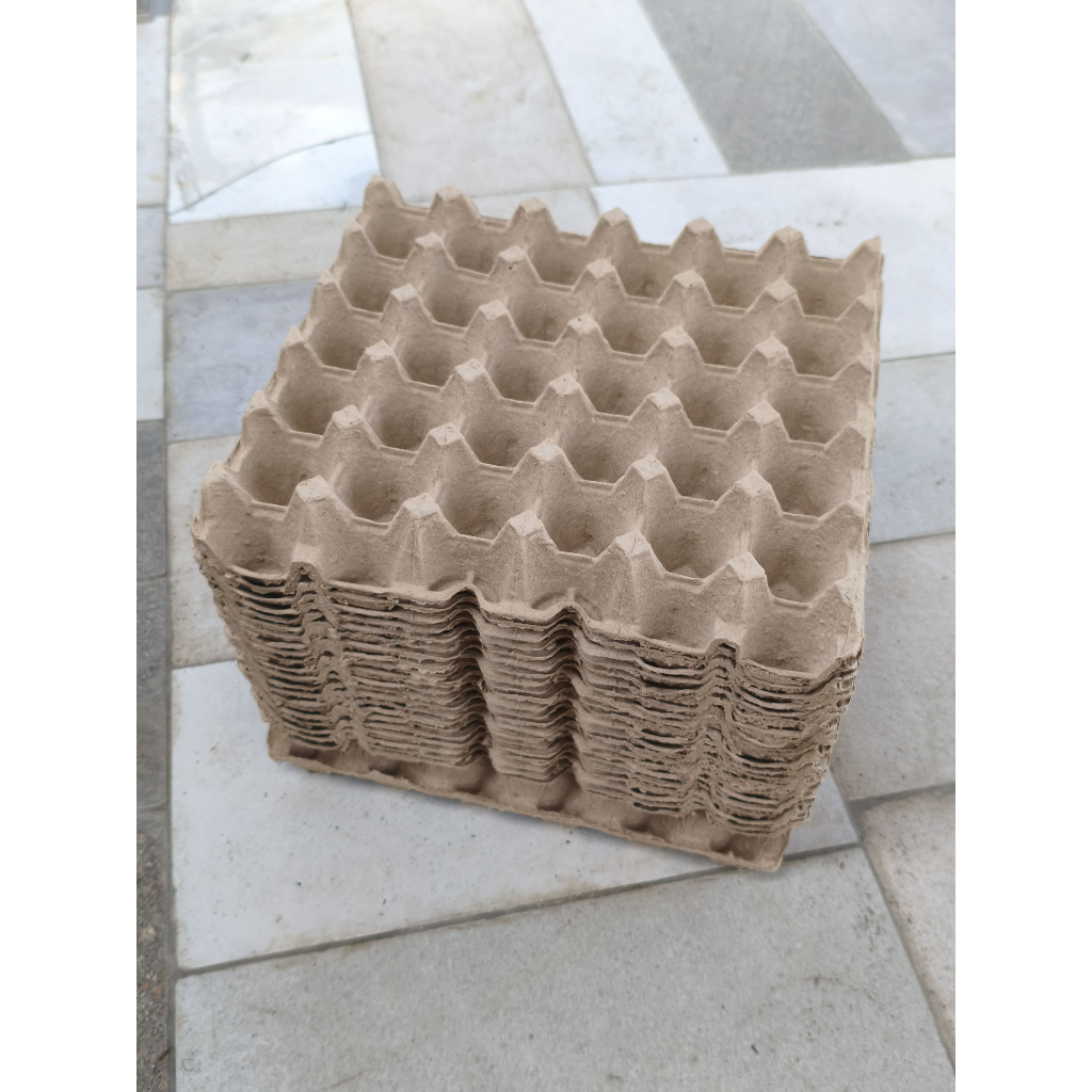 egg tray | wadah telur | tempat telur | tray telur karton Premium