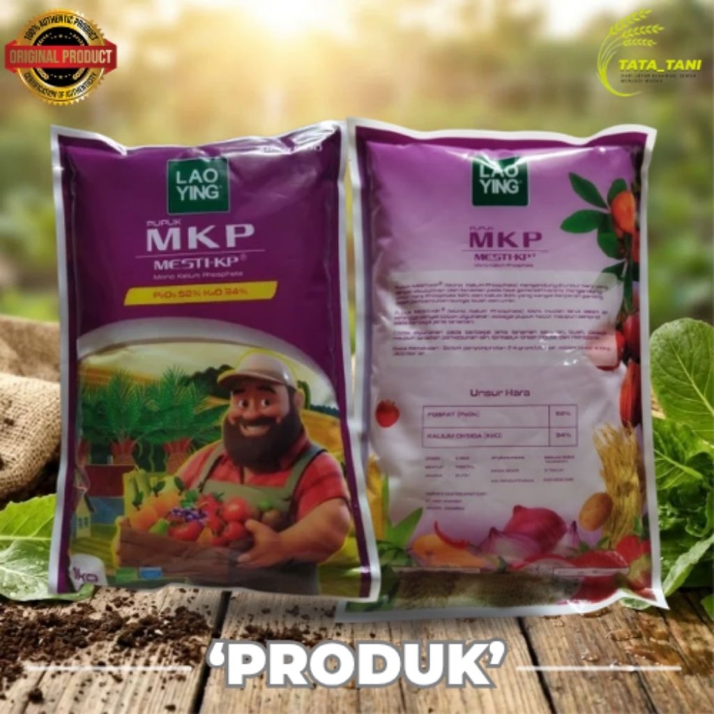 MKP MESTI-KP (LAO YING) PUPUK : FOSFAT 52% DAN KALIUM OKSIDA 34%