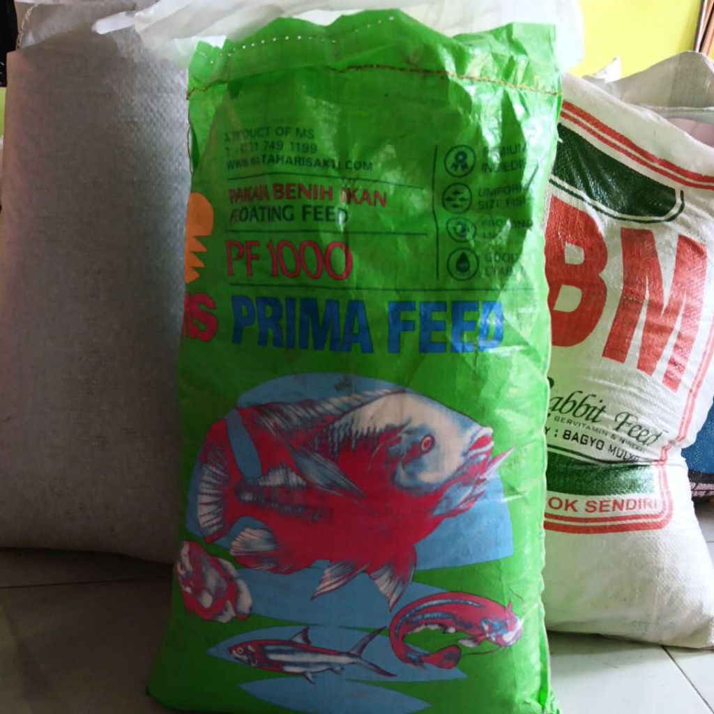 ms prima feed PF1000 pakan benih ikan lele