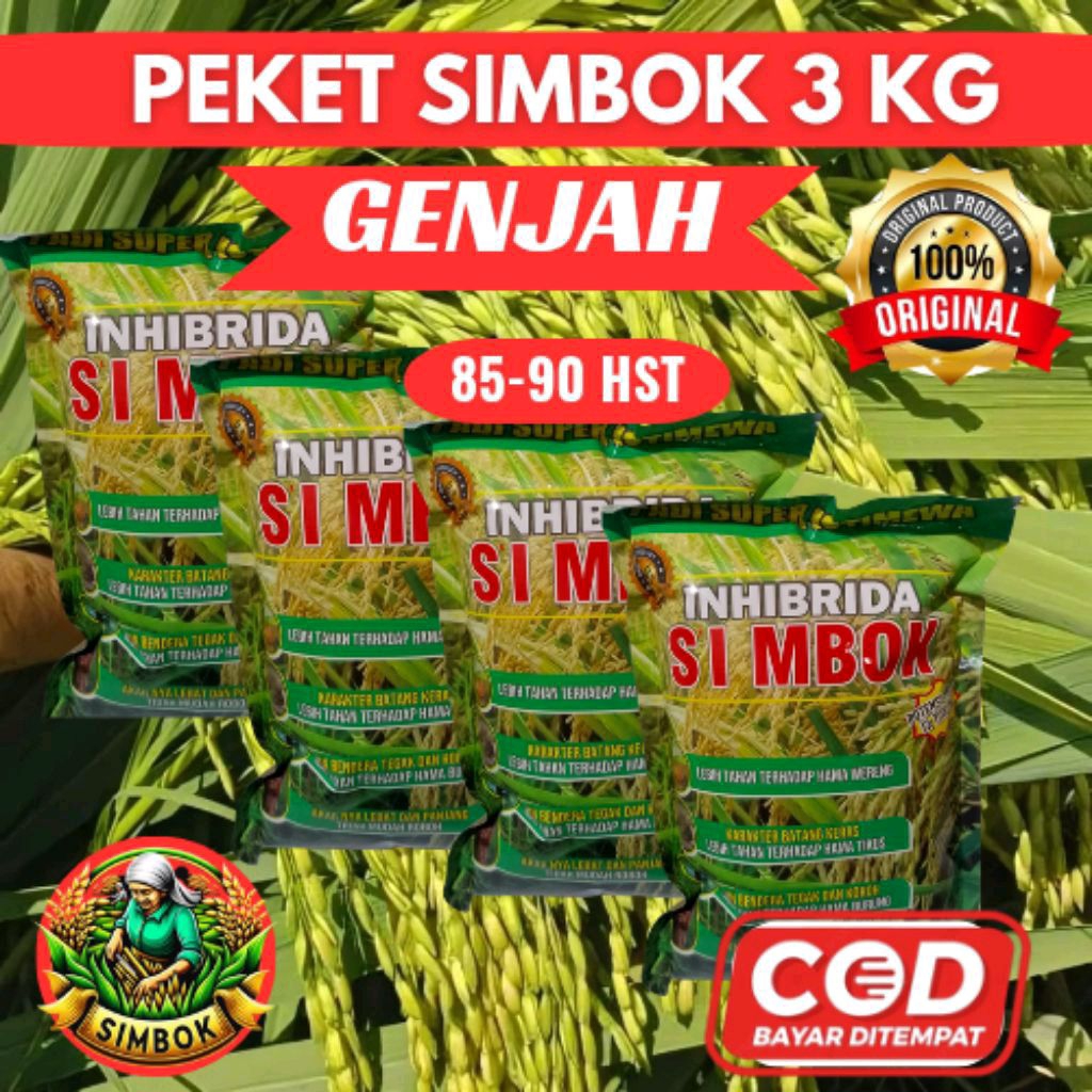 (3KG GENJAH ) PADI SIMBOK UMUR PENDEK 85-90 HST