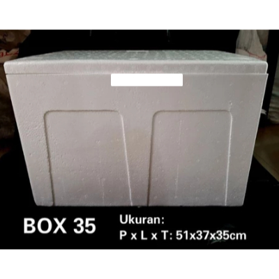 Box Gabus Styrofoam Box Es Sedang 35