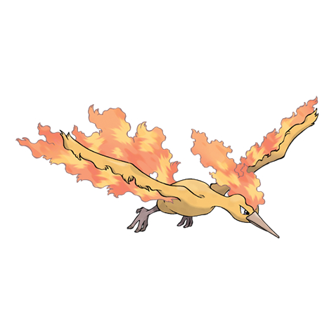 MOLTRES - Pokemon TCG EN / JP Compilation (Common, Holo, R, AR, RR, SR)