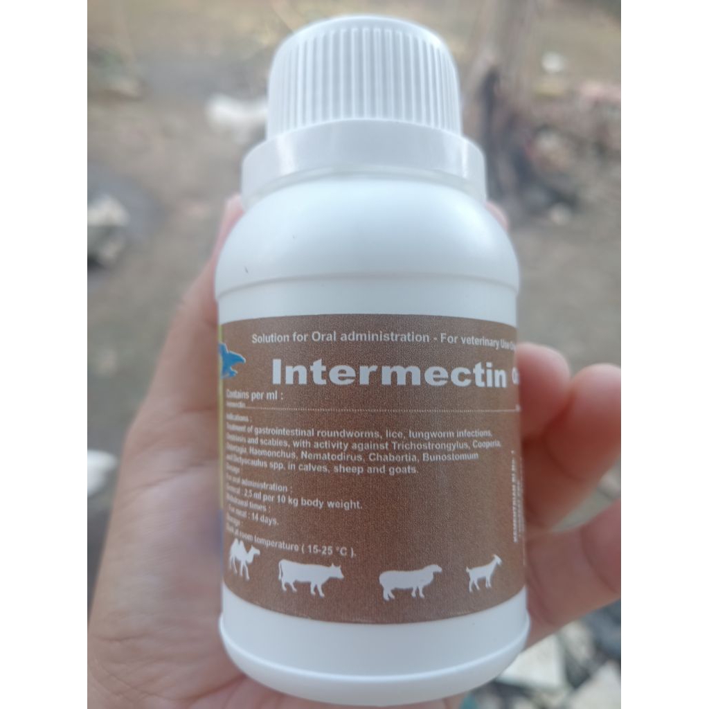 INTERMECTIN 100 ml obat gudik scabies untuk ternak,obat oral atau minum