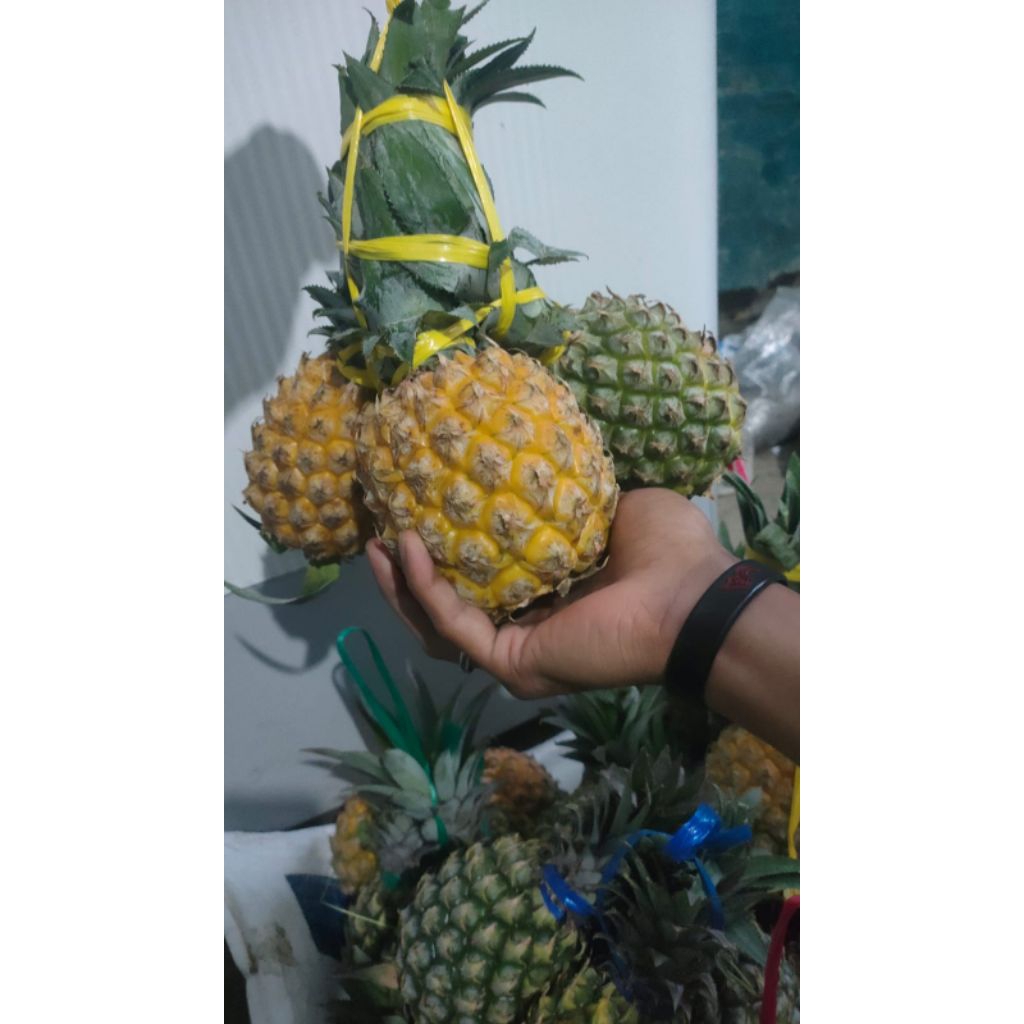 Nanas madu gunung kelud ukuran kecil