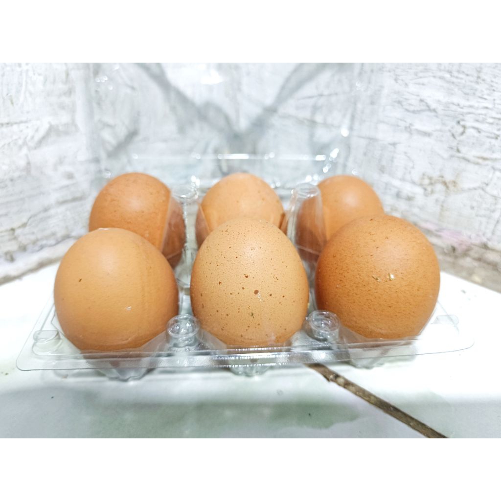 Telur Ayam Negeri fresh ( BALUNG JEMBER )