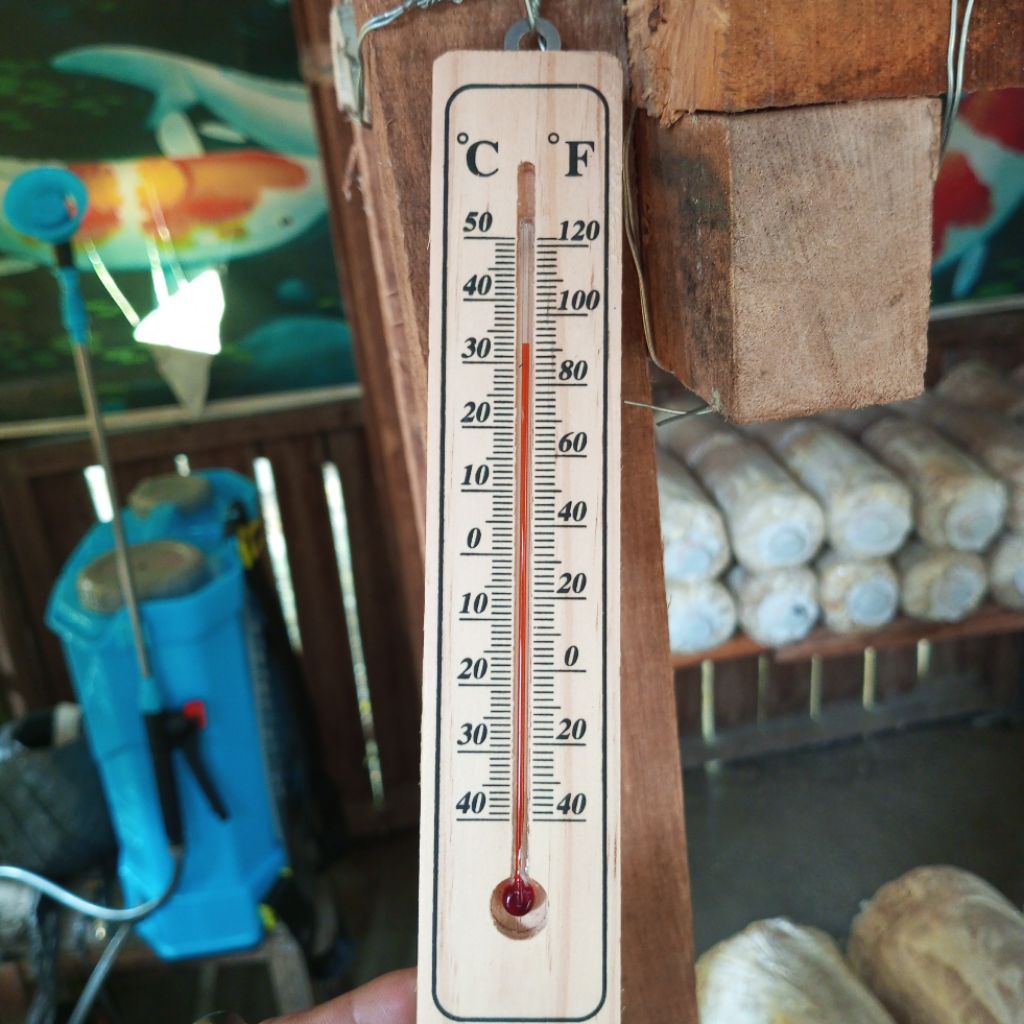 termometer kayu suhu ruangan alat cek suhu ruangan