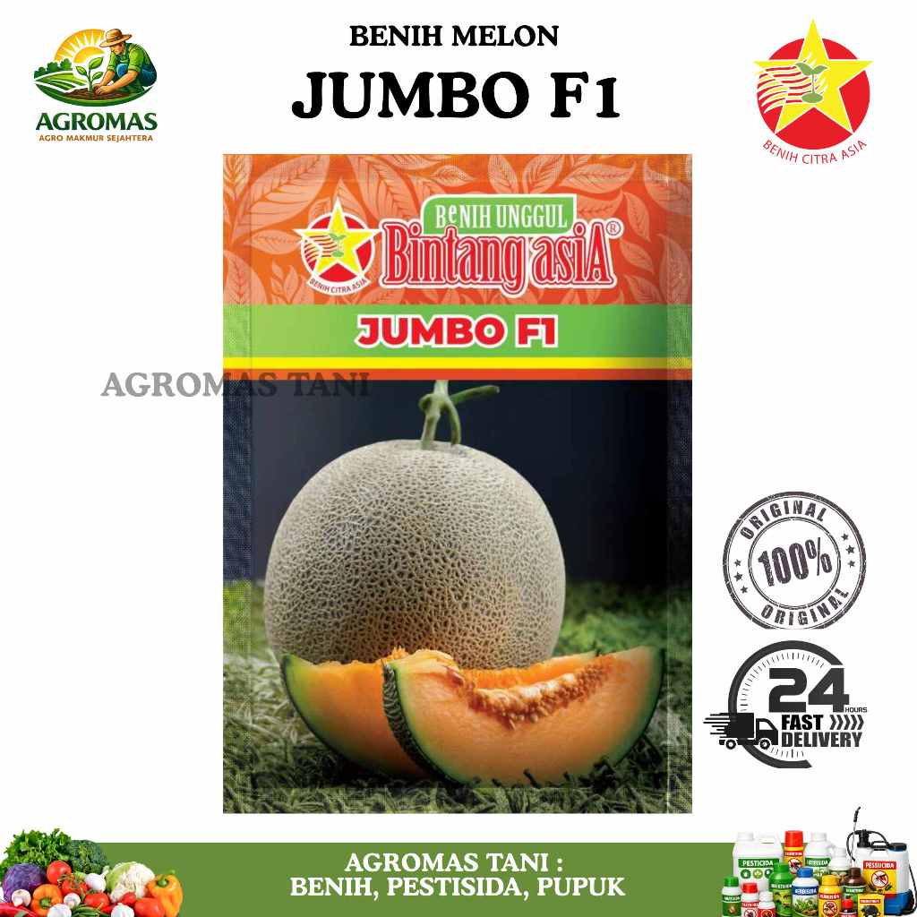 Benih melon JUMBO F1 20Gr Original Bintang Asia