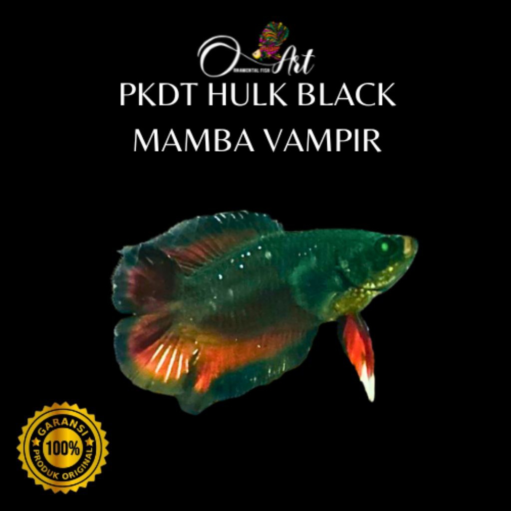 PKDT HULK BLACK MAMBA VAMPIR Hiasan Aquarium Dekorasi