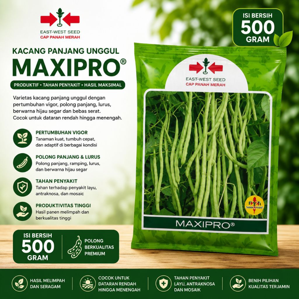 BENIH BUNCIS MAXIPRO || PANAH MERAH 500gr