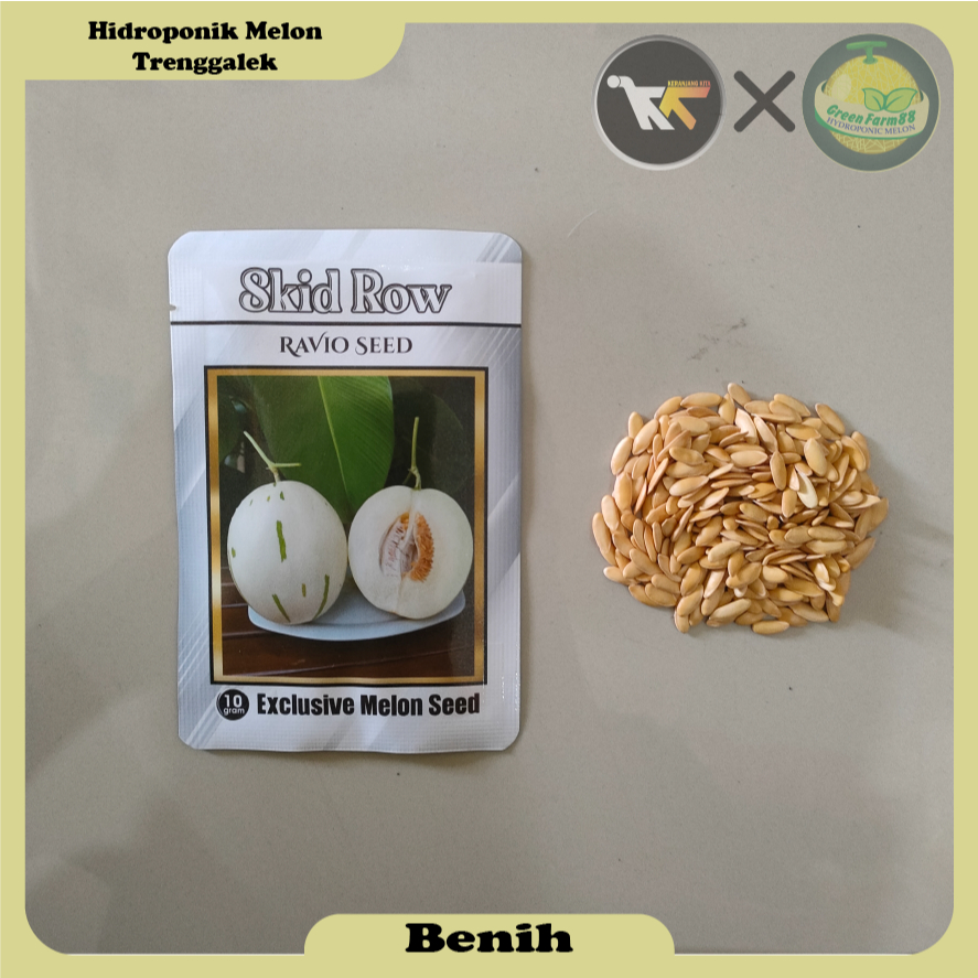[REPACK] Benih Buah Melon Skid Row isi 10 seed 25 seed 50 seed (A)