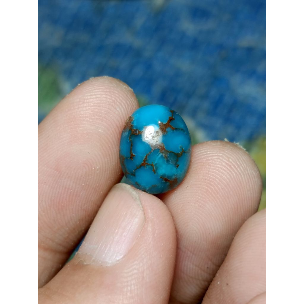 Natural pirus persia dim mini ceplok kuro