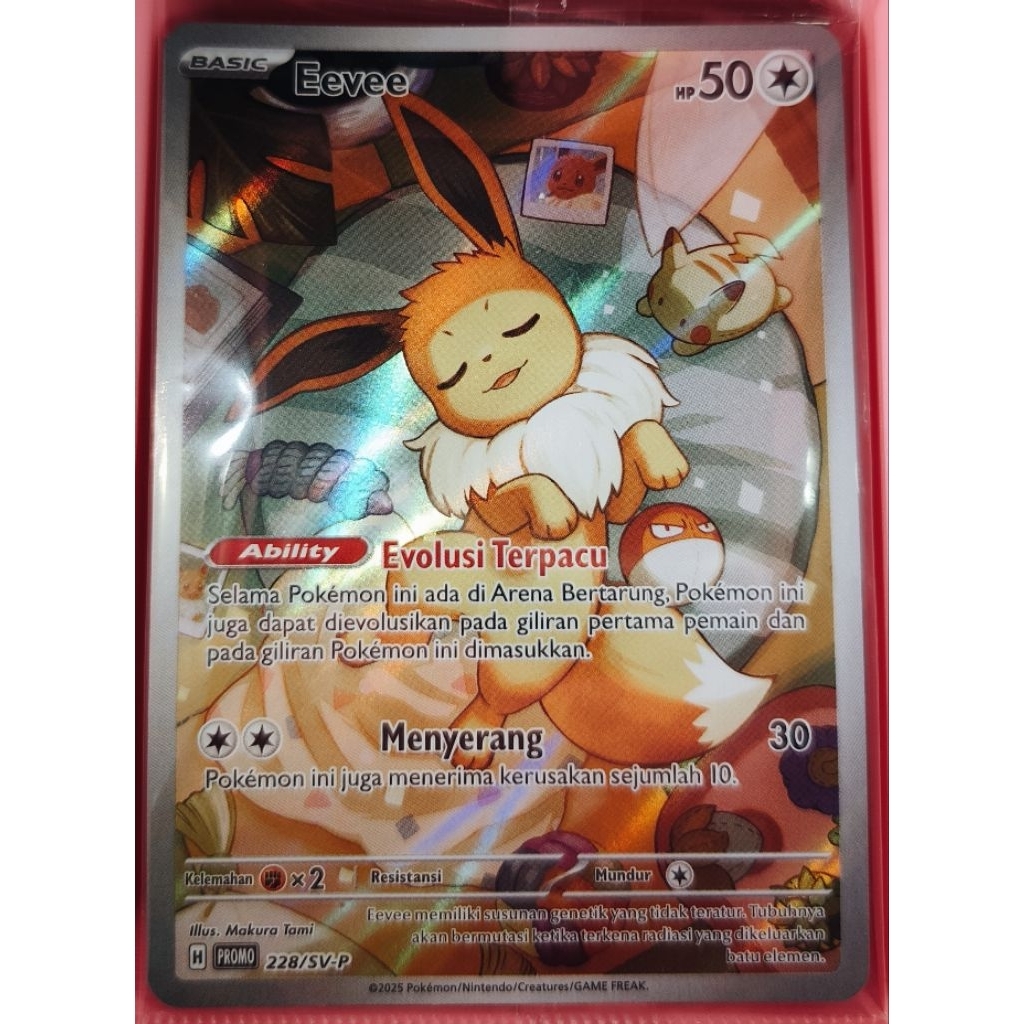 Promo Cars Eevee Tidur