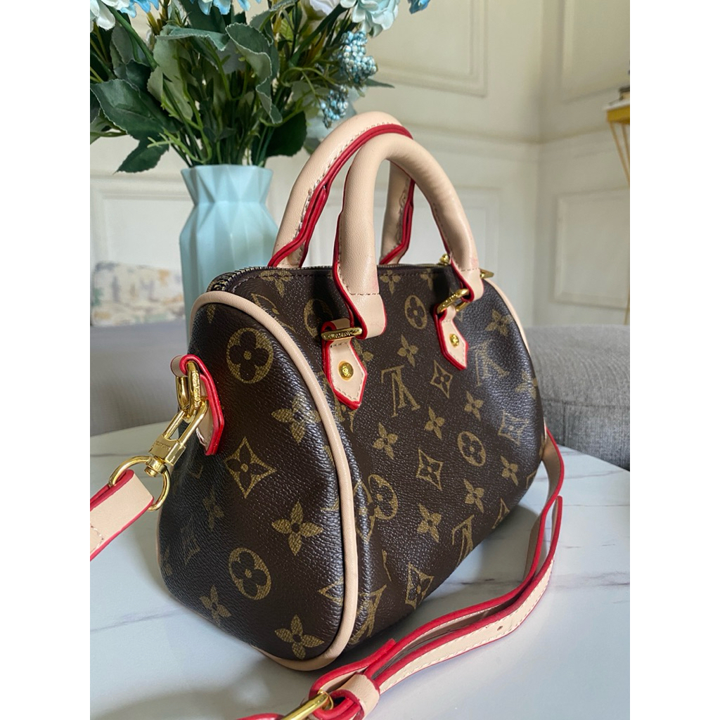 speedy lv mini monogram