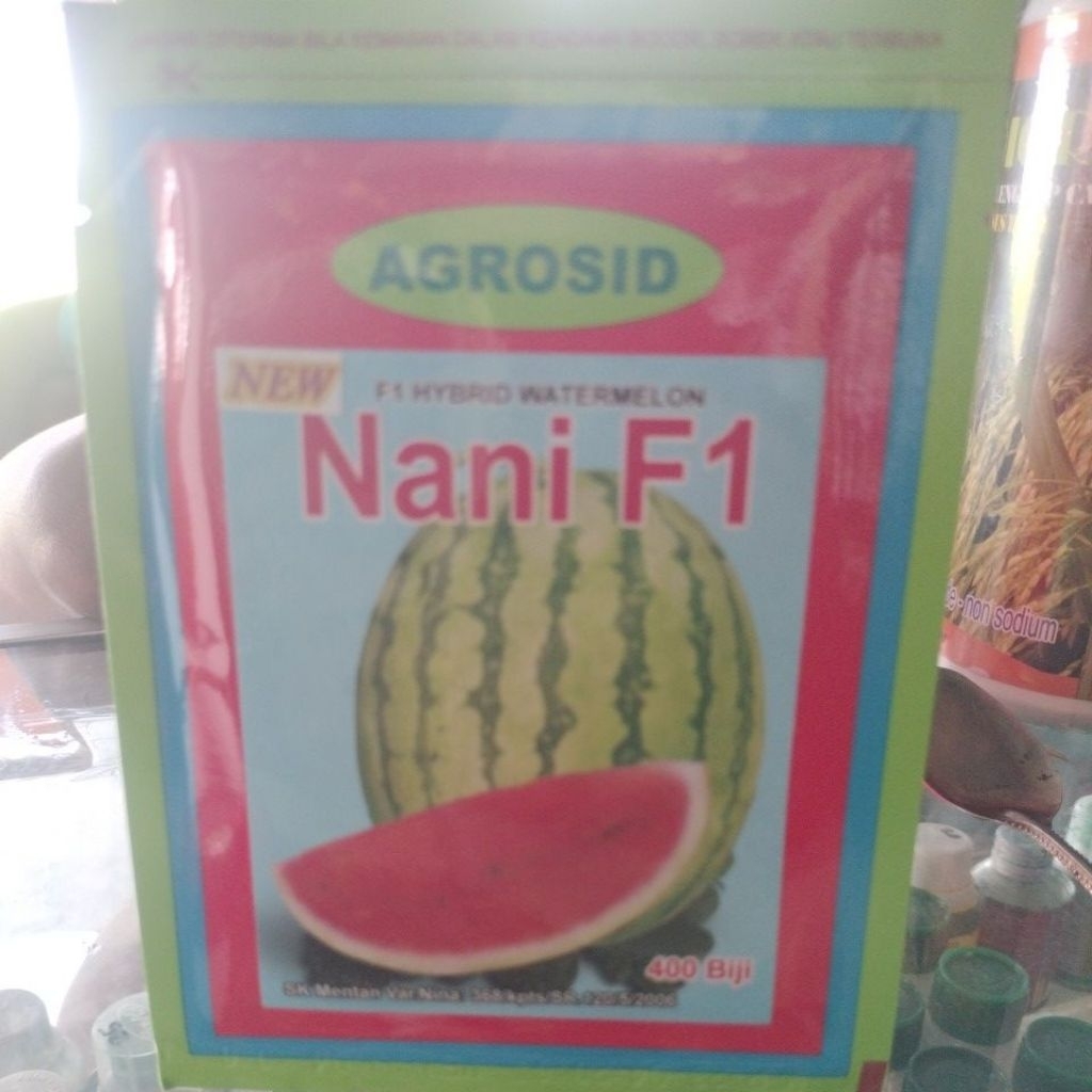 BENIH SEMANGKA New  NANI F1 SEMANGKA SUPER