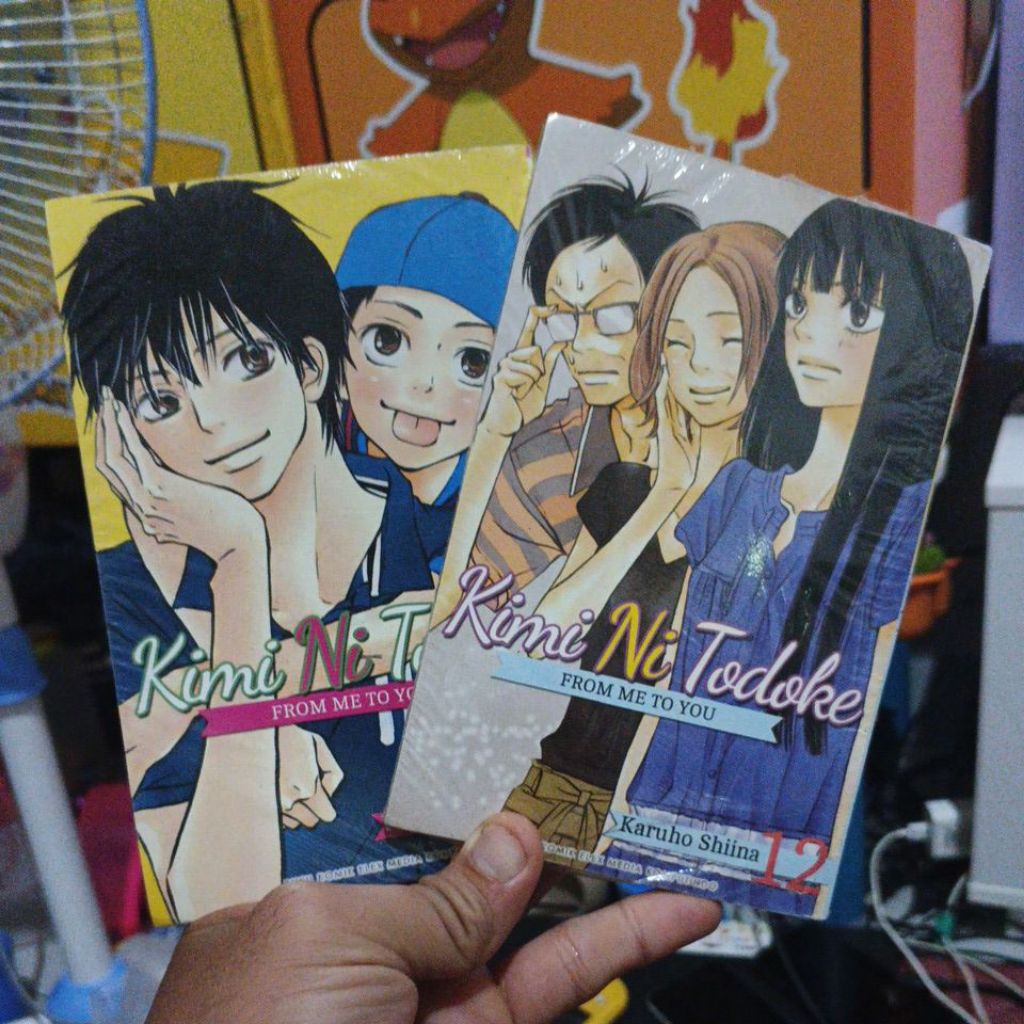 Kimi ni todoke