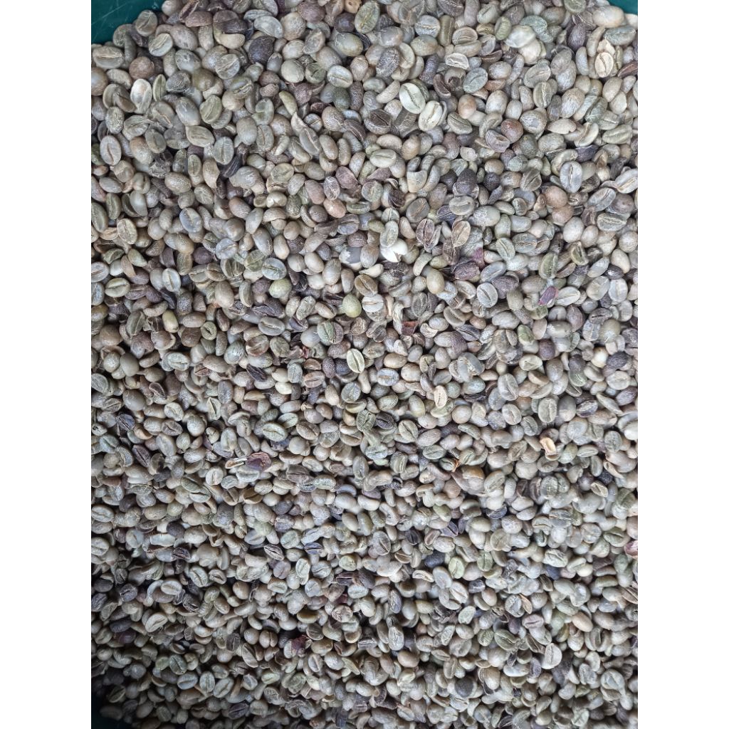 Asalan Biji Kopi Arabika