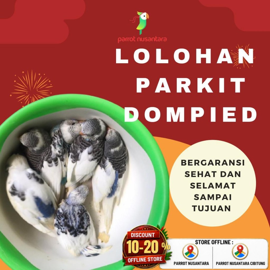 parkit lolohan dompied