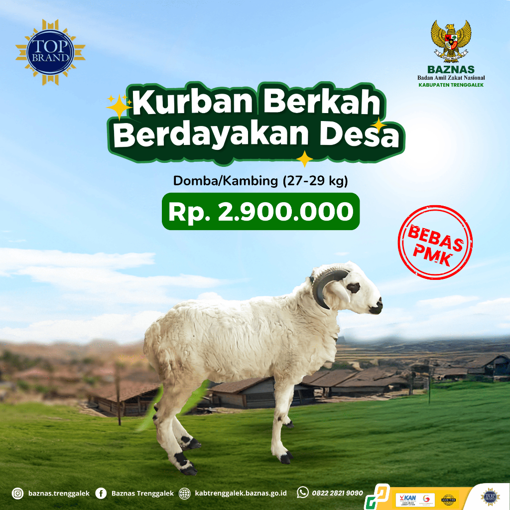 BAZNAS - KURBAN KAMBING/DOMBA MEDIUM