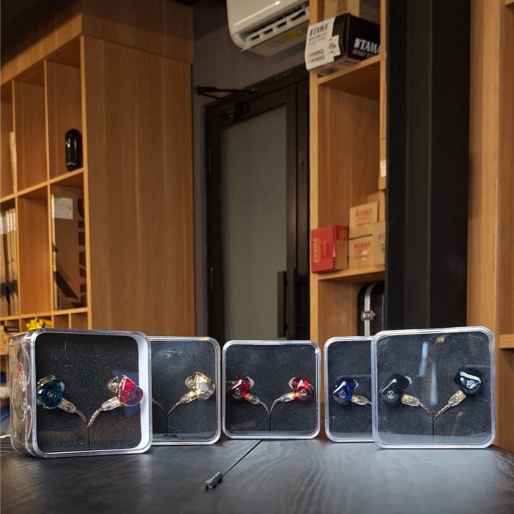 IN EAR PI AUDIO 3.14 DR2