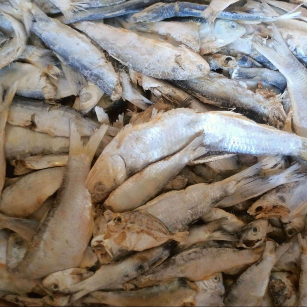 IKAN ASIN TRASAK 100 GR surabaya