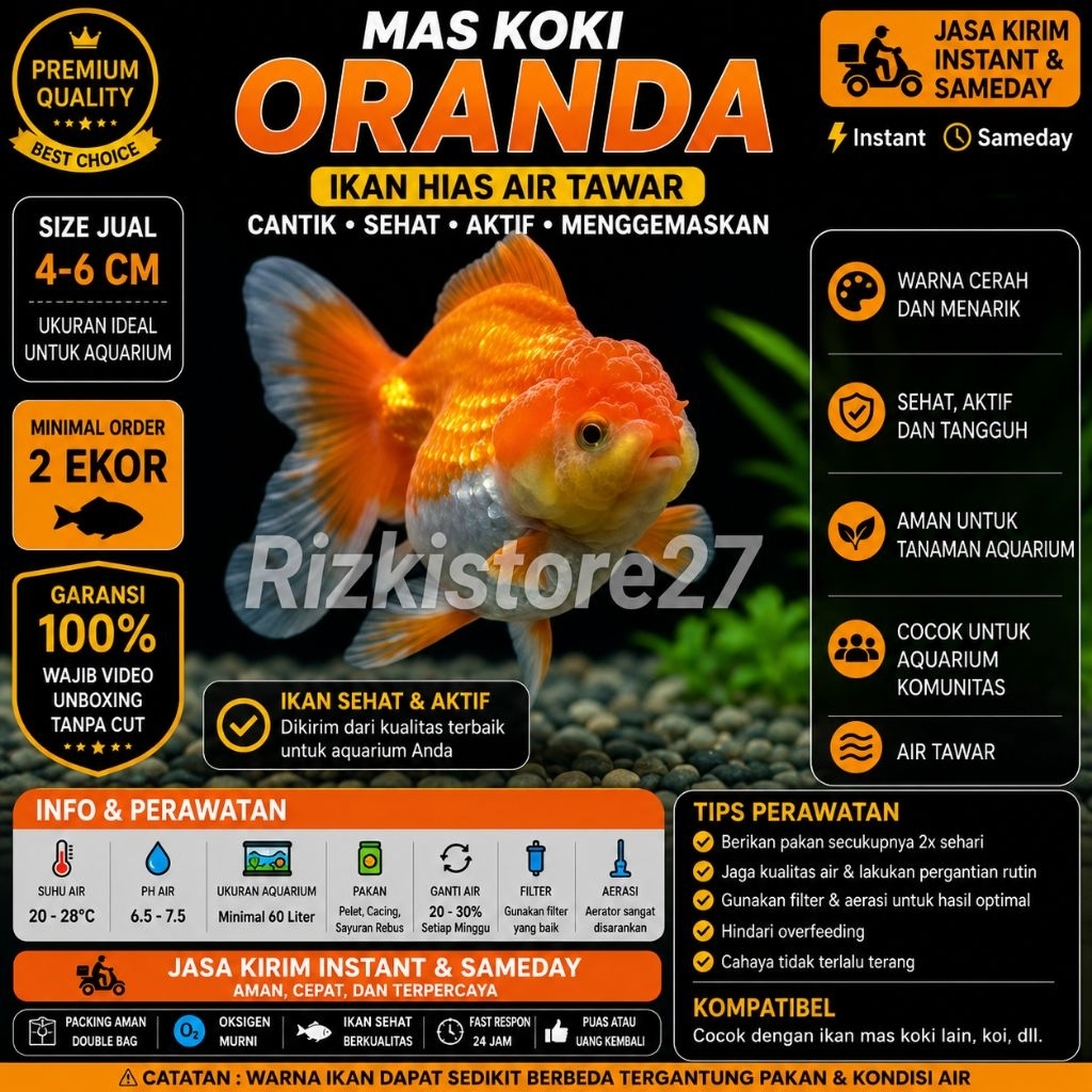 Mas Koki Oranda Size 4-6 Cm Ikan Hias Aquarium Air Tawar Fancy Goldfish
