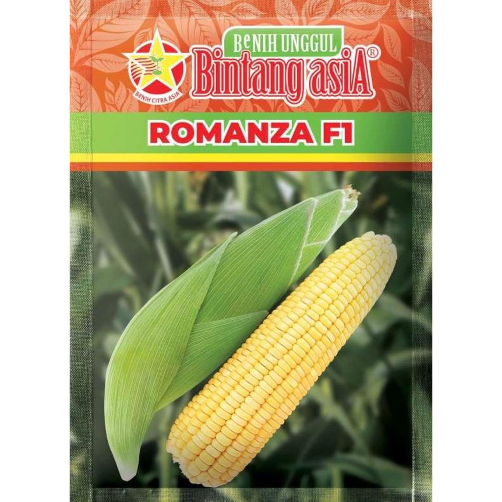 Benih Unggul Bintang Asia Romanza F1 Jagung manis