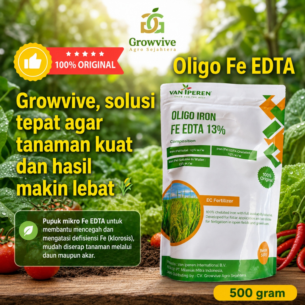Oligo Fe EDTA 13% untuk Tanaman Hidroponik, Solusi Tanaman Kuning 500 gram