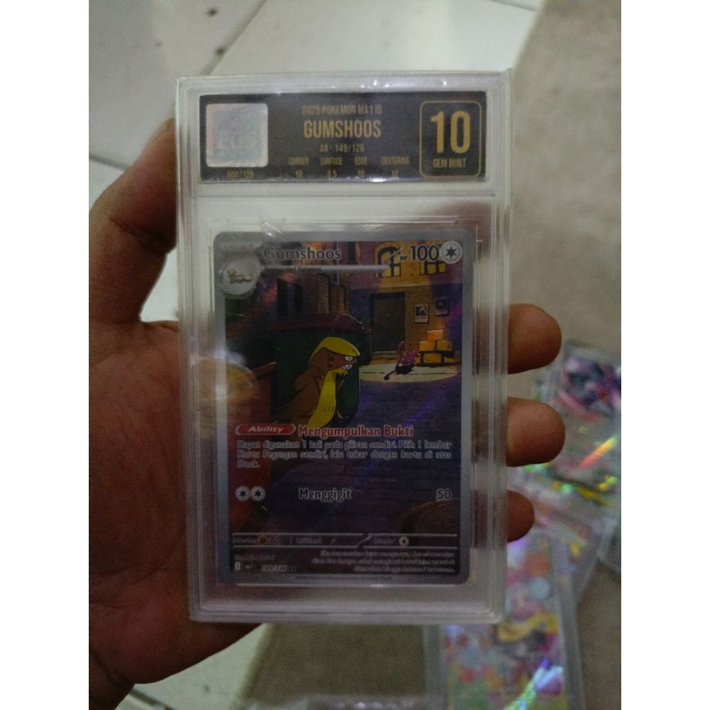 Gumshoos Ar indo slab egs 10