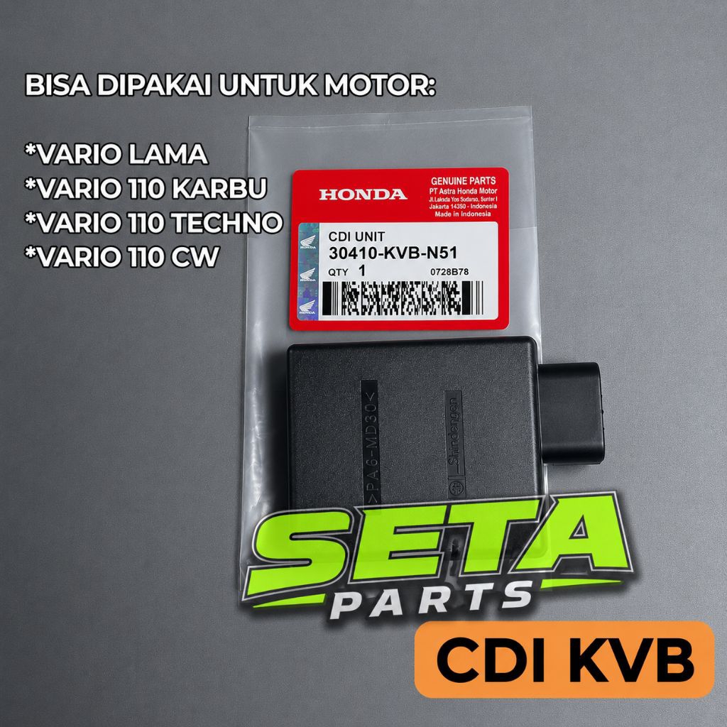 CDI Vario 110 CW Old Lama Techno Karbu CBS KVB