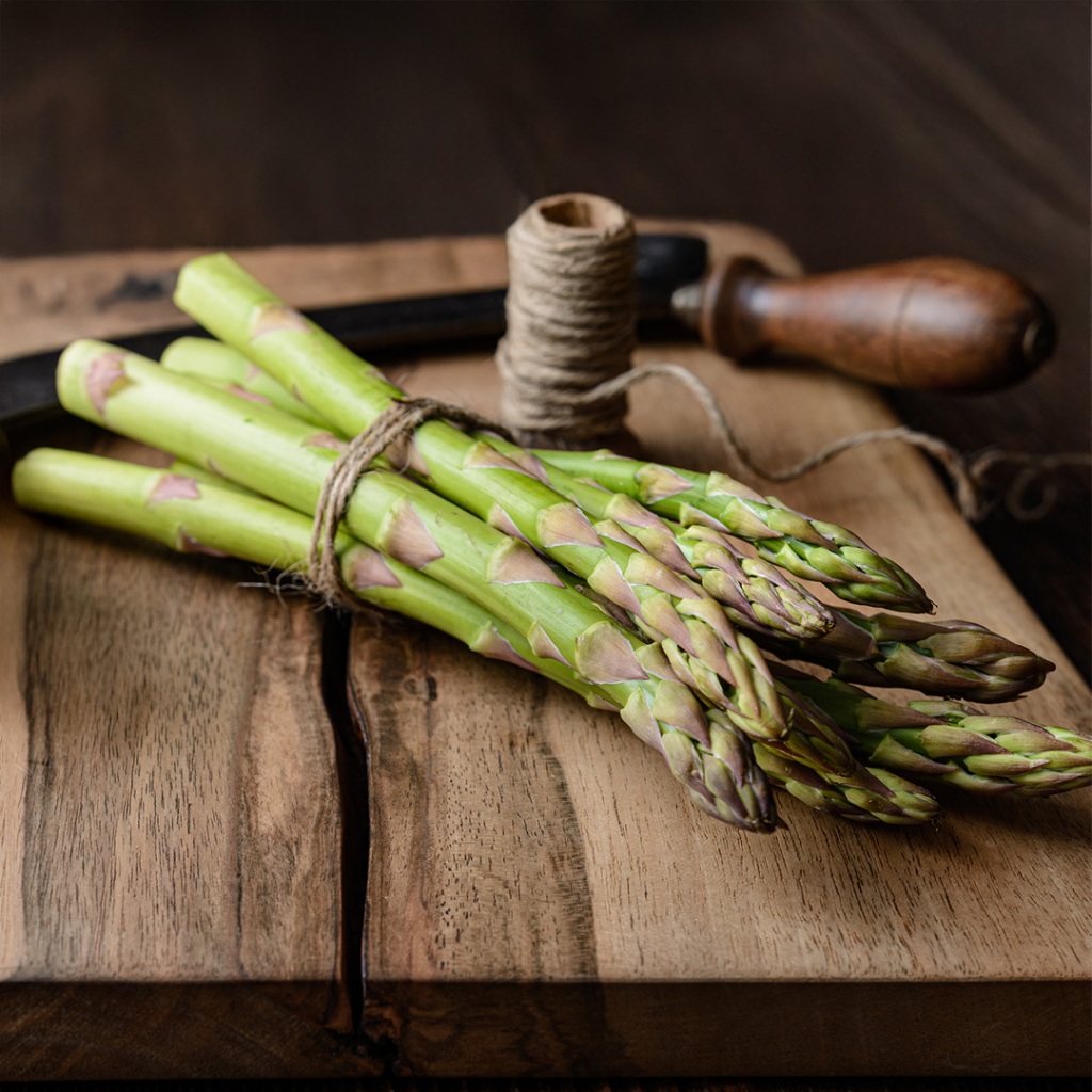 Benih Asparagus