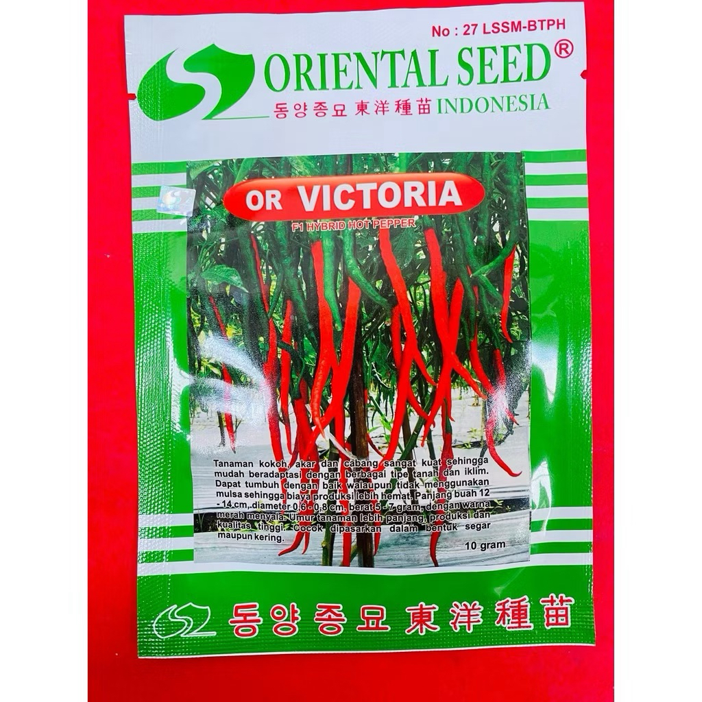 Benih Cabe Keriting Hibrida Sios Tavi - 10 Gram Cap Kapal Terbang Original