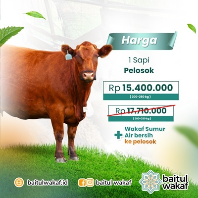 Sapi Qurban Pelosok 200-250kg - Program Baitul Wakaf & Gratis Wakaf Sumur