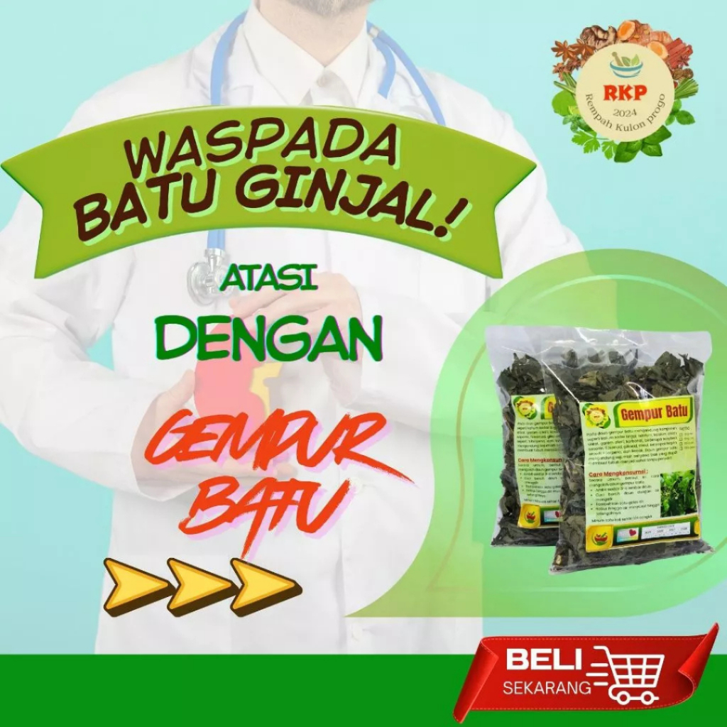 Daun Gempur Batu Kering 50gram BATU GINJAL