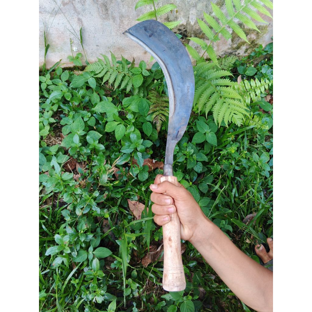 pisau tebang TEBU