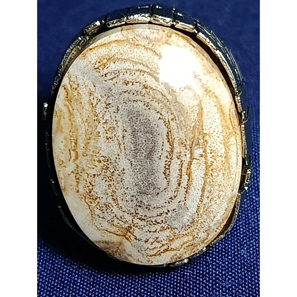 Natural Gono Kelor Petrified Wood, MYSTIC / Batu Fosil Kayu Kelor, SAKRAL, PUSER