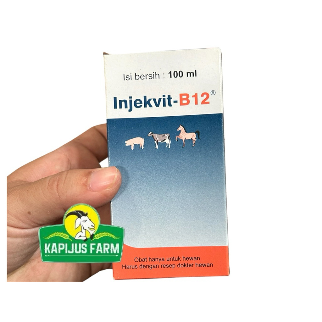 Injekvit B12 100ml vitamin B12 suntik mengobati anemia, lemas stres dan nafsu makan turun pada terna