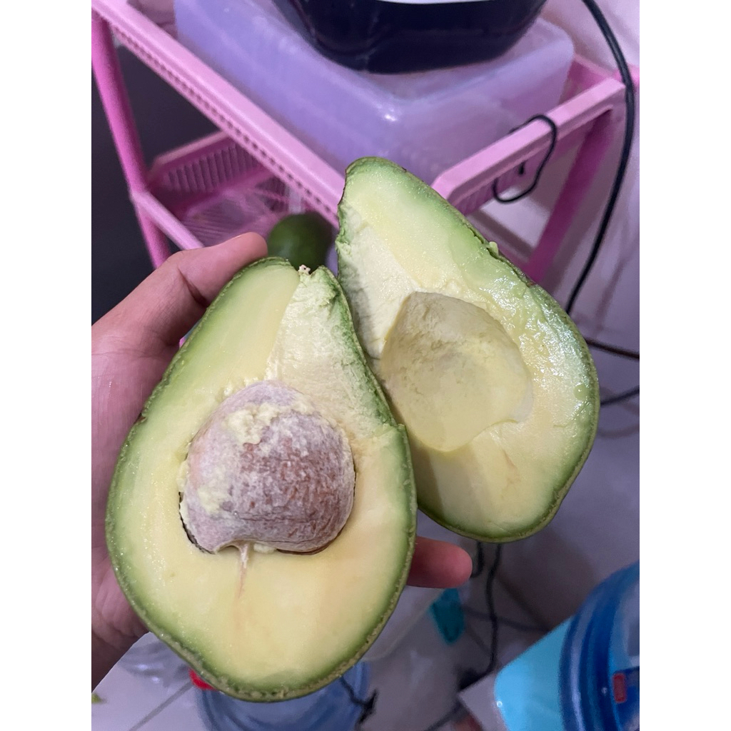 Alpukat mentega matang