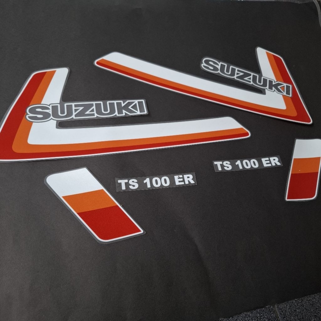 striping ts100er
