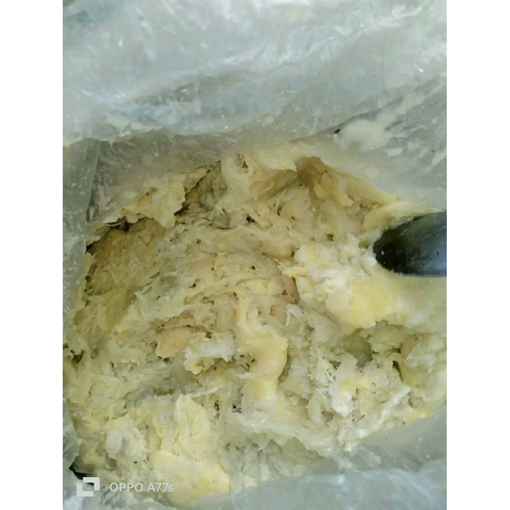 Tempoyak BARU durian asli LAHAT/tempoyak/tempoyak durian/tempuyak/tempoyak dibuat jika ad pesanan sa