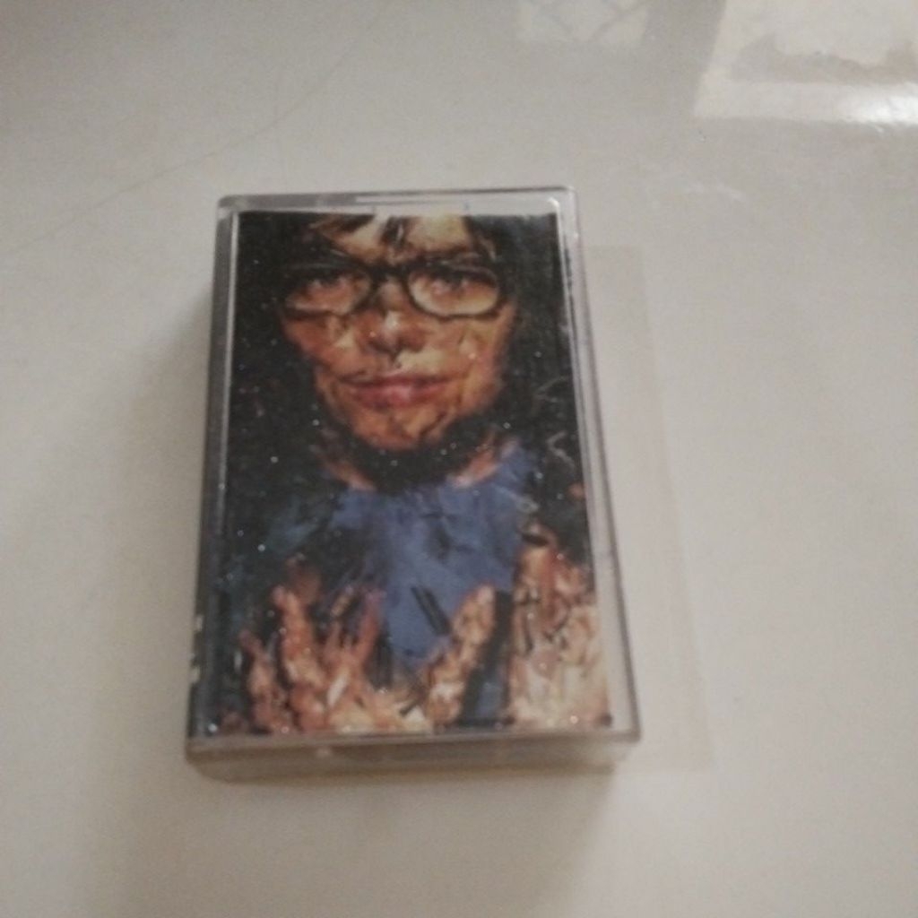 KASET PITA BJORK SELMASONGS COVER LENGKET