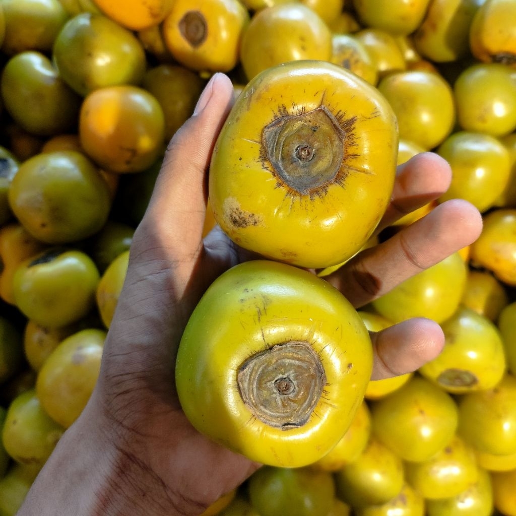 Buah kesemek segar premium fresh 1kg