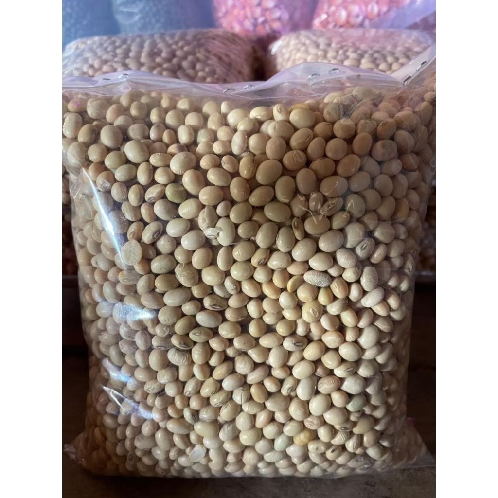 1KG BENIH KEDELAI GROBOGAN BERKUALITAS