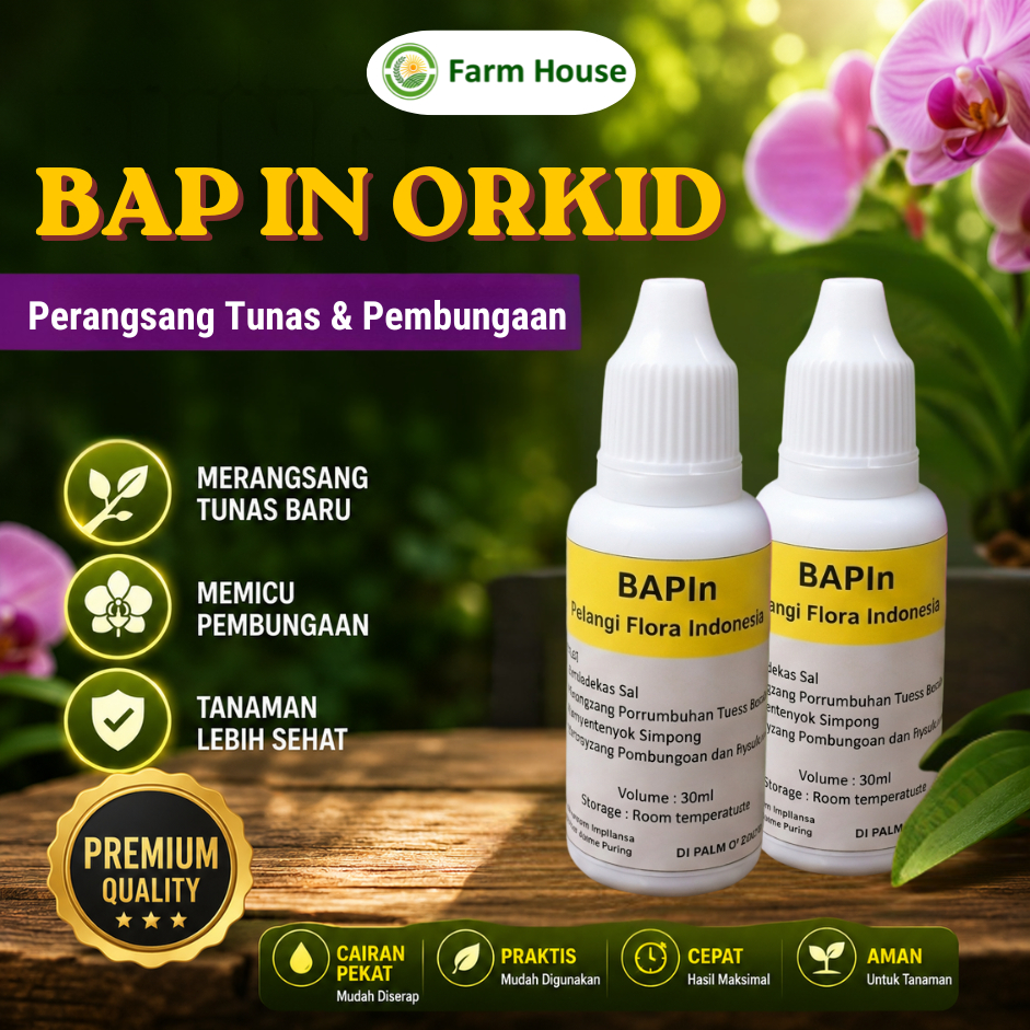 Hormon BAPIn Untuk Anggrek Perangsang Tunas & Pembungaan | Bantu Anggrek Cepat Berbunga, Rajin Tunas