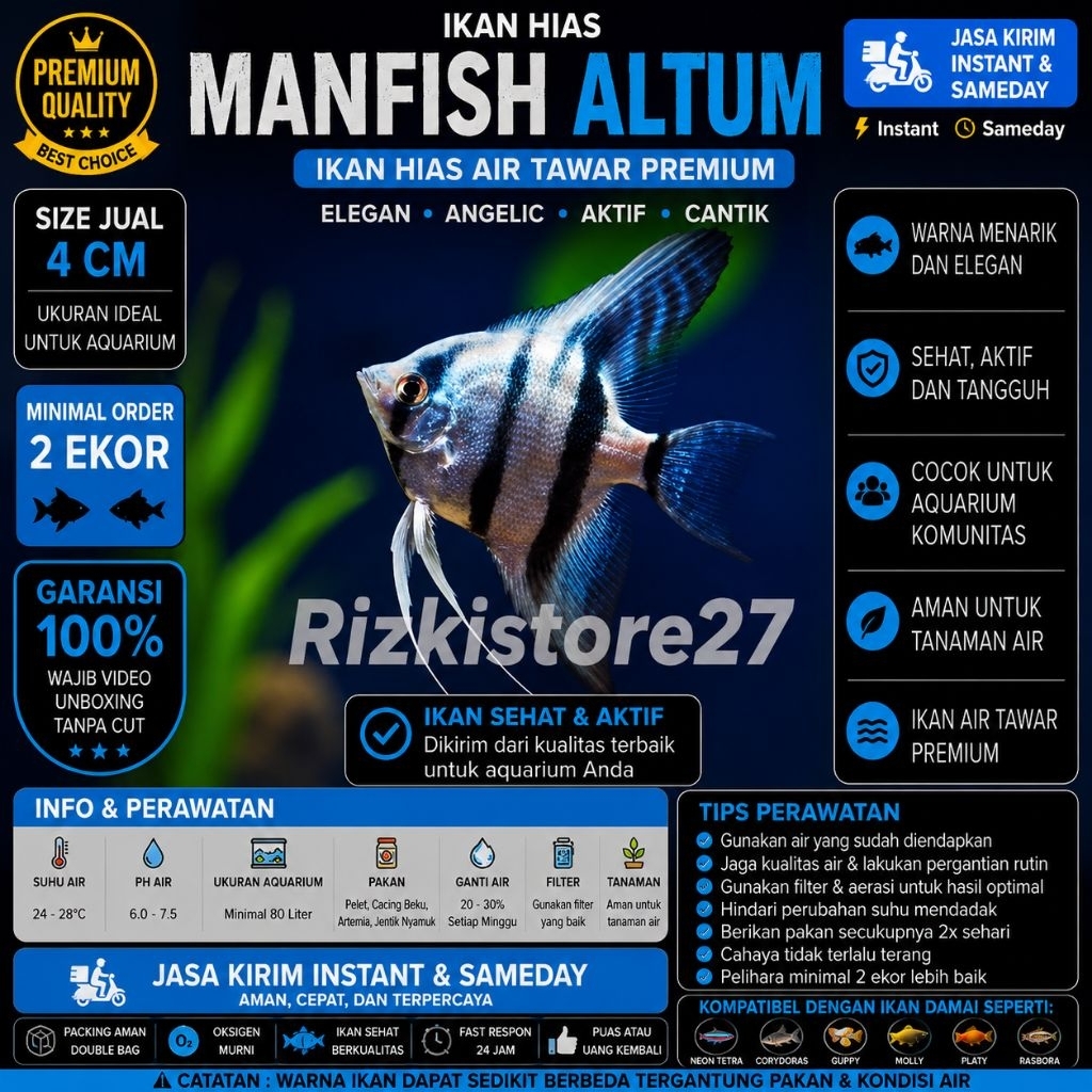 Ikan Hias Manfish Altum Size 4 Cm Angel Fish Altum Aquarium Aquascape