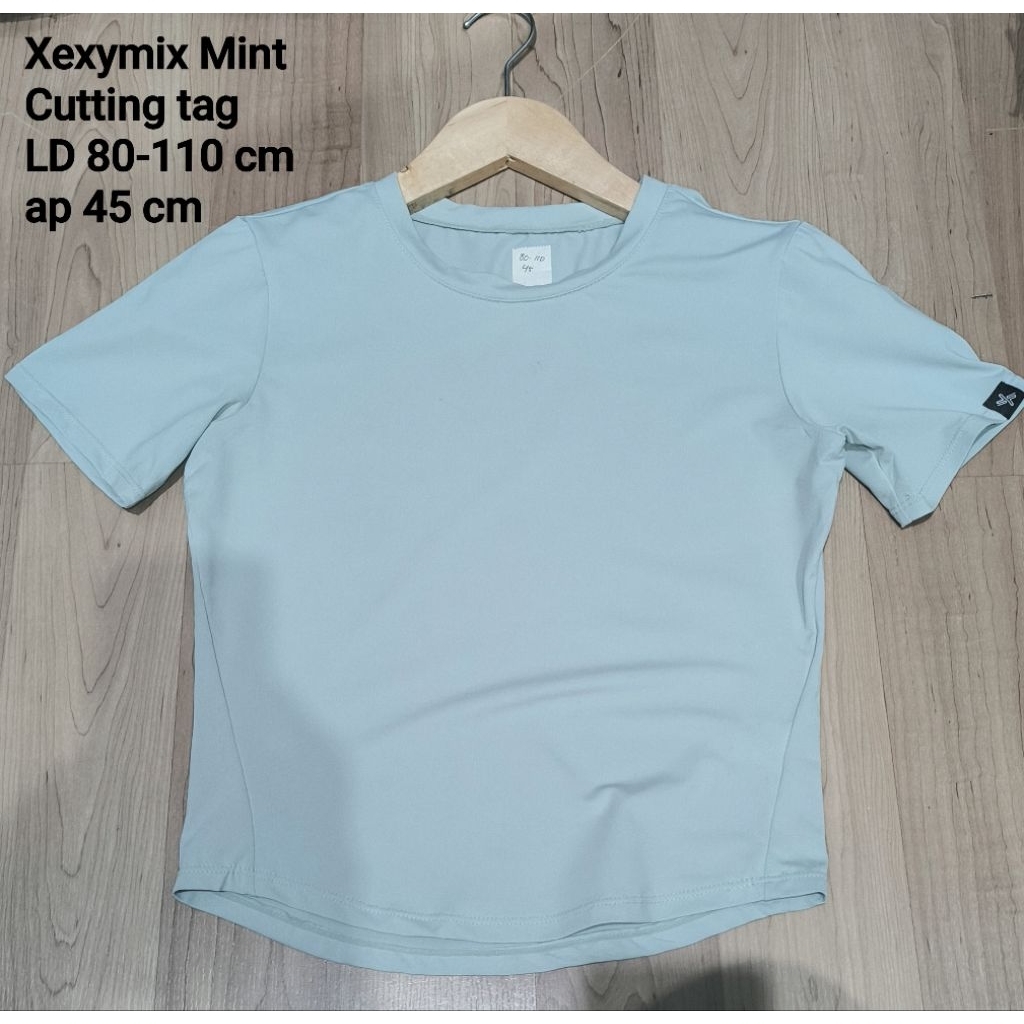 Xexymix crop Mint