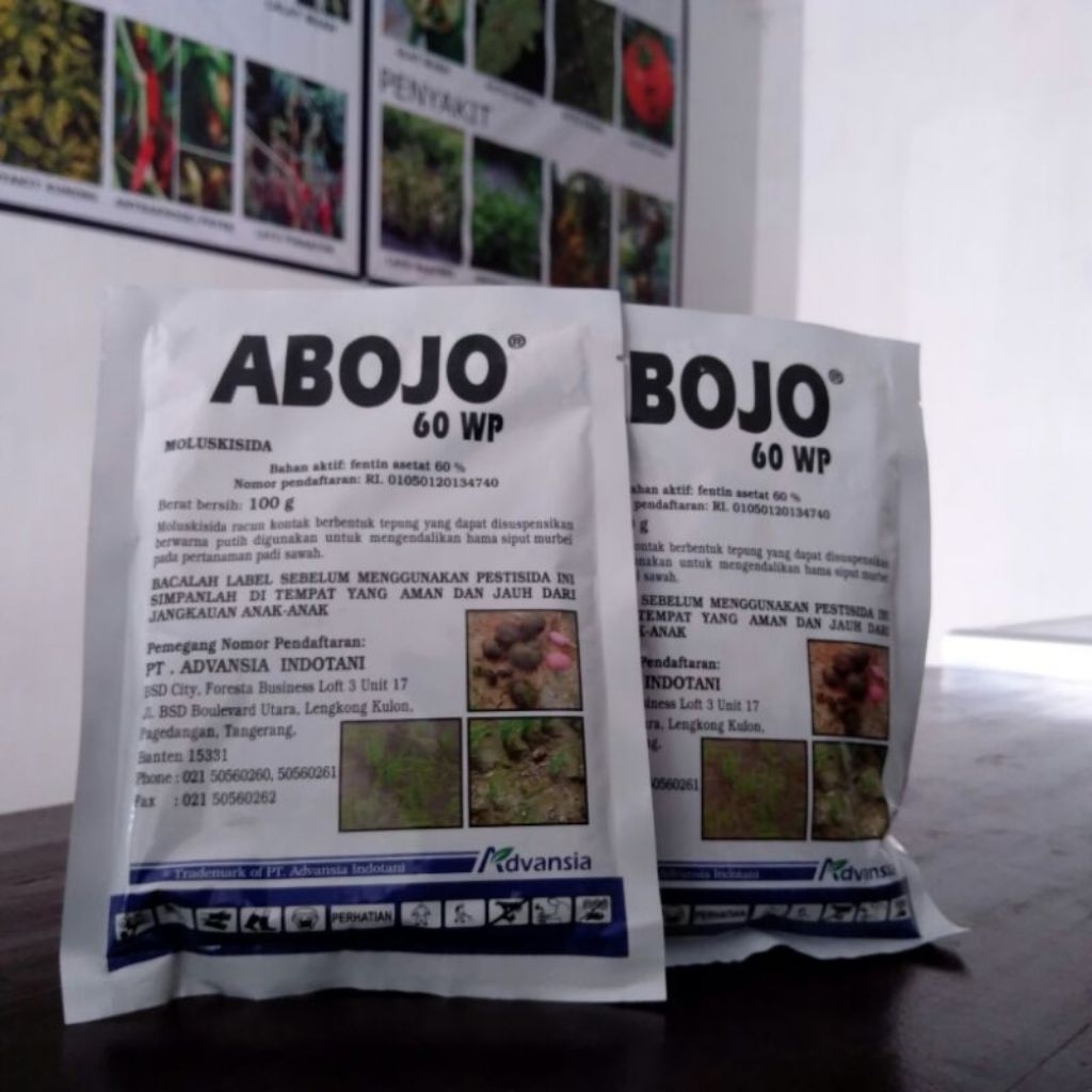 Abojo 100 gram obat keong